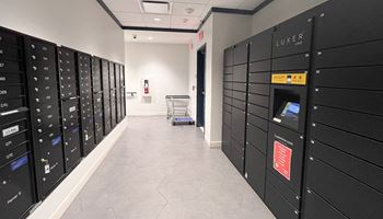 a bunch of lockers in a room at The Commonwealth Building, Pittsburgh, 15222